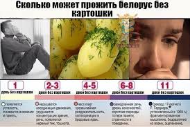 Этокартошка!