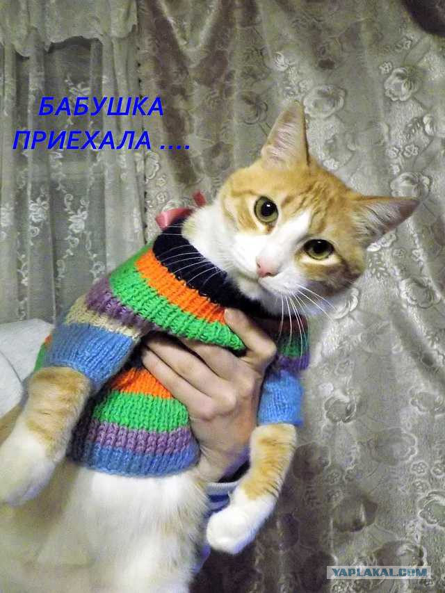 Подборка интересных и веселых картинок