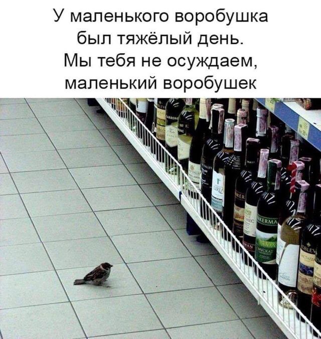 В спиртном нет пользы. Рассуждения практикующего нарколога
