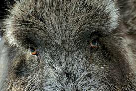 Игра на ЯПе: Угадай АВТО-2