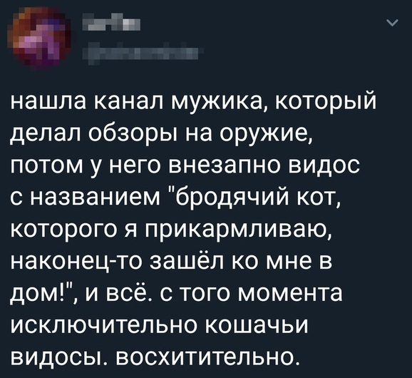 Опять картинок