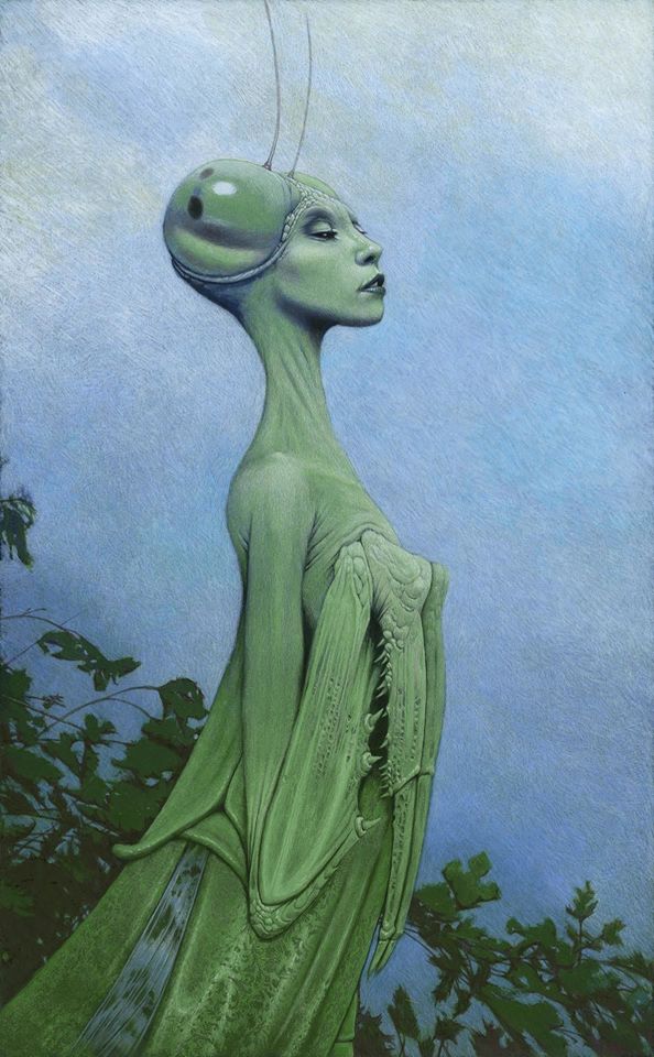 Crazy Art. Новогодний
