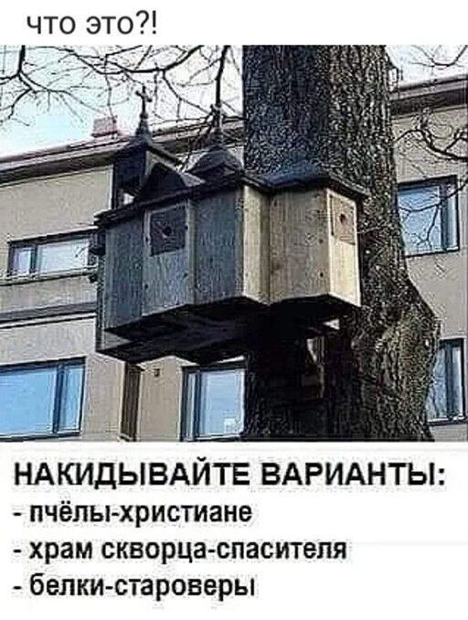 Немного картинок для настроения 17.05.20