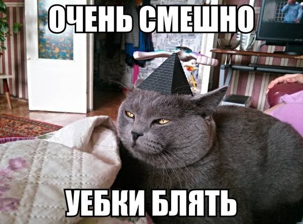 Фотосалат и картинки