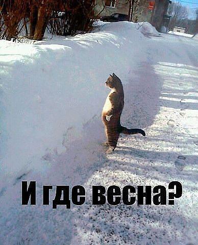 Картинки и мемы для настроения 003