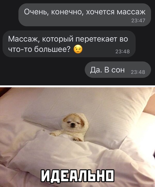 Картинки и мемы для настроения