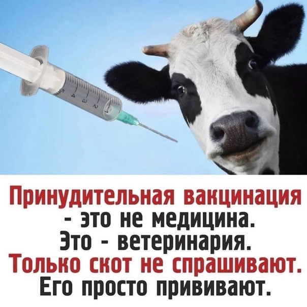 Глава Роспотребнадзора Анна Попова считает, что информацию о вакцинации нужно включить в школьную программу и в учебники