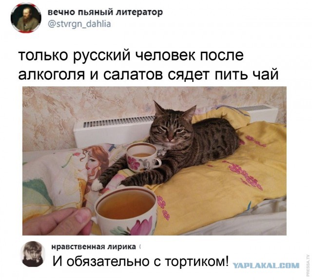 Картинки и мемы для настроения - 10