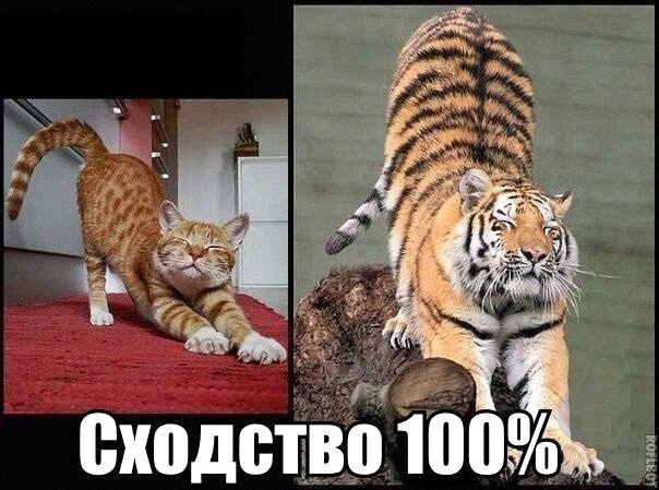Чуток картинок 16.02.22