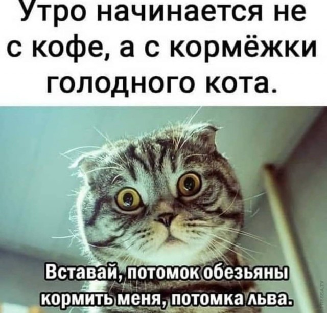 Всем хороших выходных - картинки и т.п.