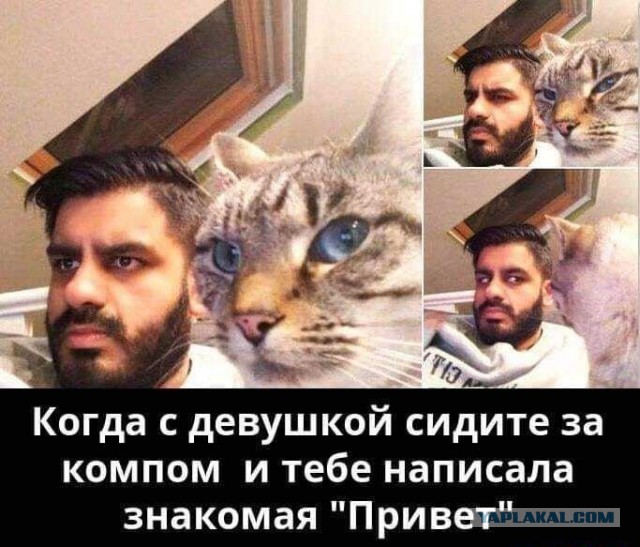 У всех одно и тоже в башке!