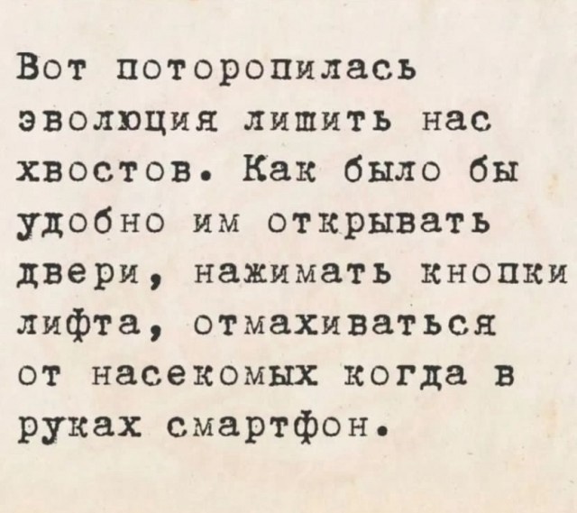 Так себе картинки 11.10.24