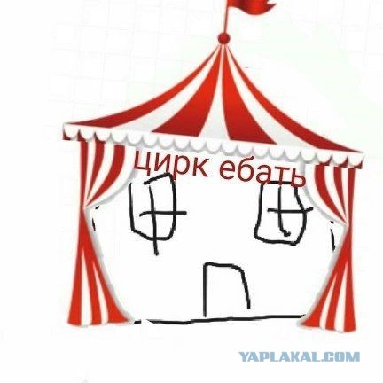 Толерантность - не для профессионалов