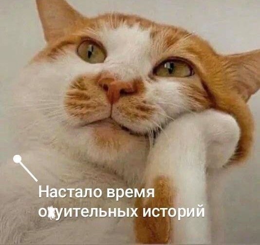 Анастасию Ивлееву убрали из новогоднего шоу ТНТ по требованию Филиппа Кирокорова