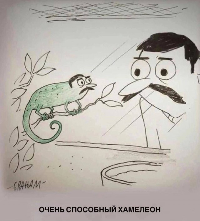 Веселые картинки в понедельник (27.01)