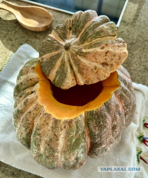 Жаба с рисом и сухофруктами