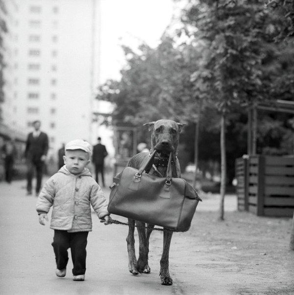 Фотографии из прошлого нашей страны – 105