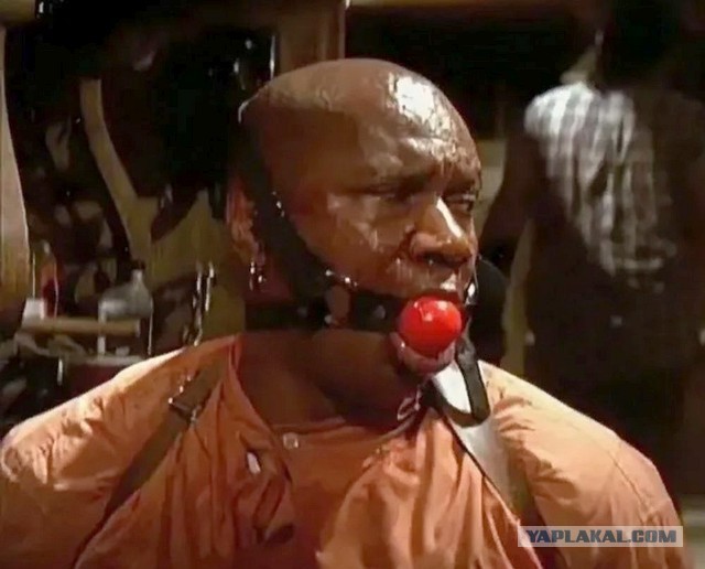 Запрещённый приём от барсика