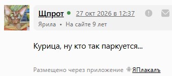 Рисунки животных. Продолжение.