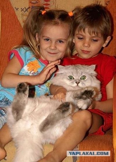 Фотаться в зеркале - моветон!