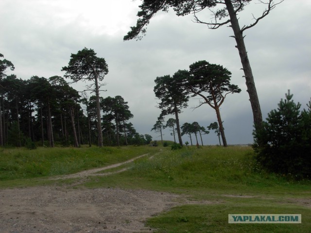 Латвия, Лиепая, район Кароста