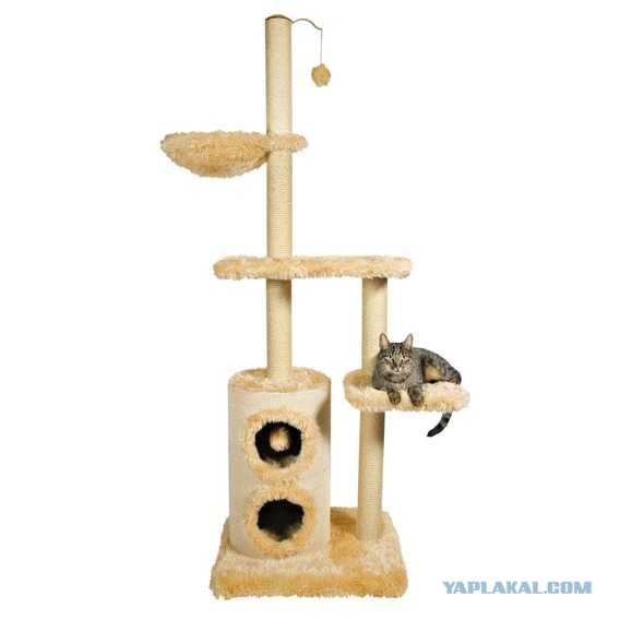 Домик для котейки