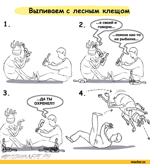 Поздравления племяннику, прикольные картинки по борьбе с клещами