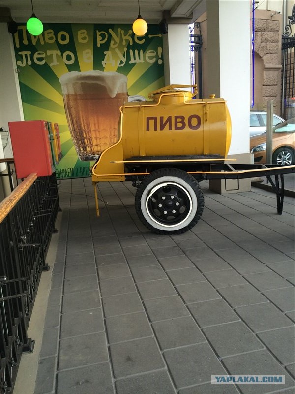 А поутру они проснулись...
