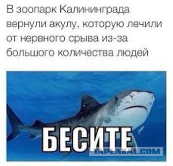что вас бесит
