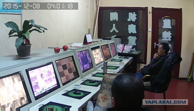 За что я люблю китайцев