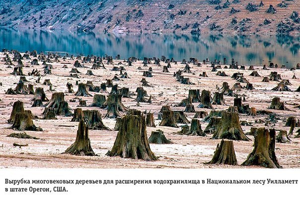 Интересные и веселые картинки