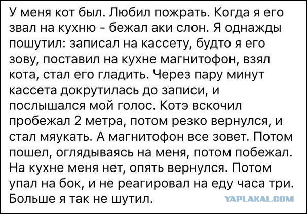 Смешные комментарии 10.07.2016