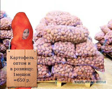 Фотожаба "Чипсы Читос или...."