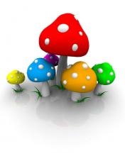 Детские авторы переходят на грибы