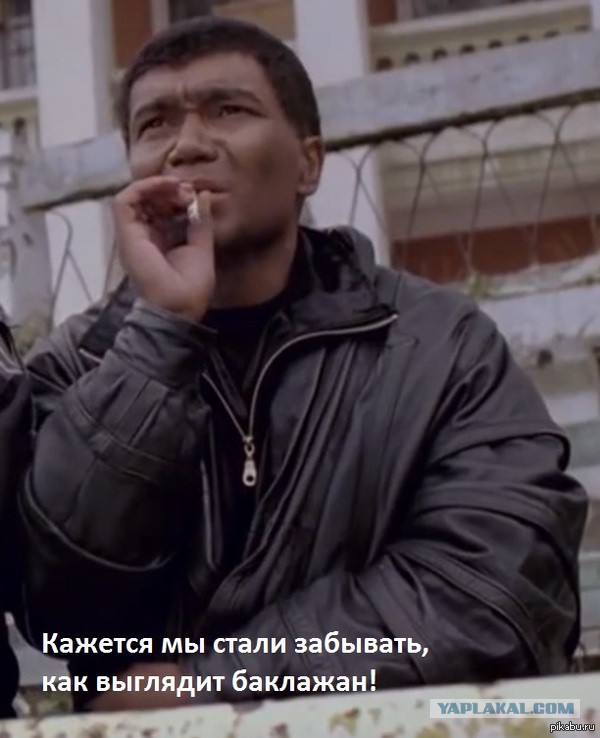 Актёры фильма "Звёздный десант" 20 лет спустя