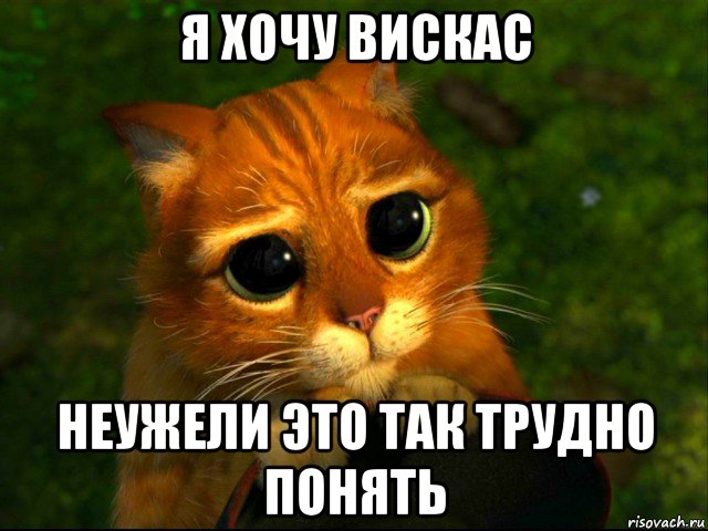 Забота