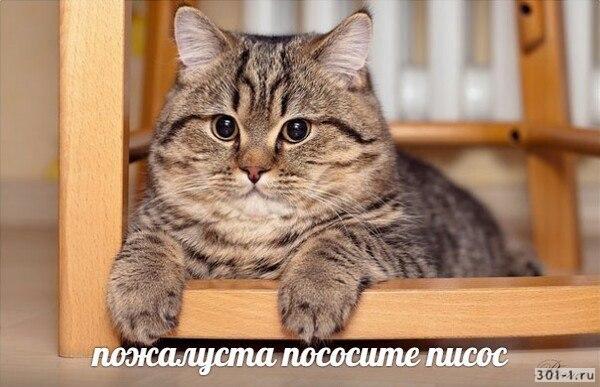 Суд в Москве зарегистрировал иск Навального к Путину