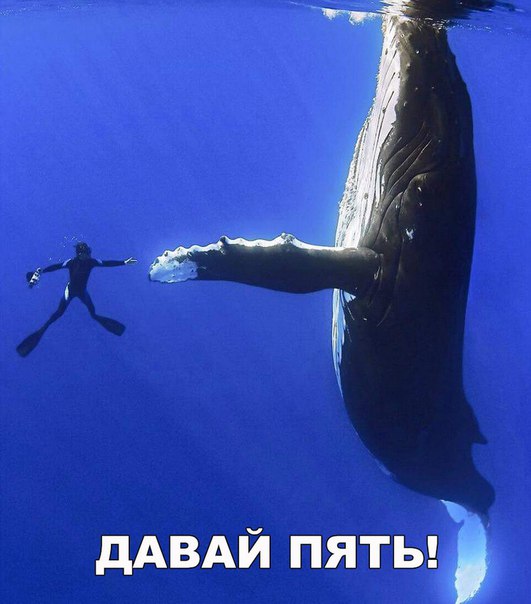 Картинки с надписями на разные темы - 2