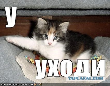 Почему я ненавижу алкоголь