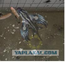 Unnatural Selection