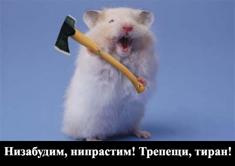 Прямая трансляция с Тверской