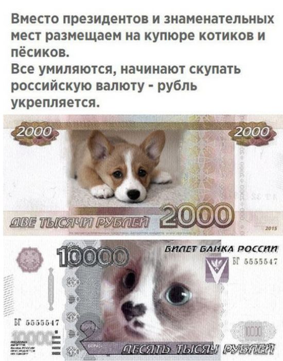 Подборка интересных и веселых картинок