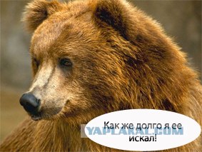 Никакого пластика - только благородное дерево!
