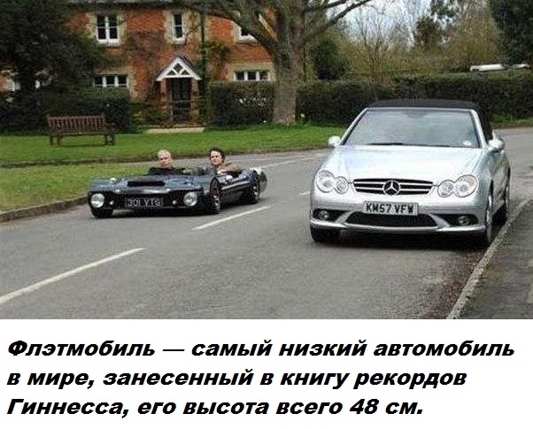 Подборка бесполезных фактов.