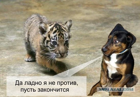 Ну вот когда же уже эта неделя закончится?!