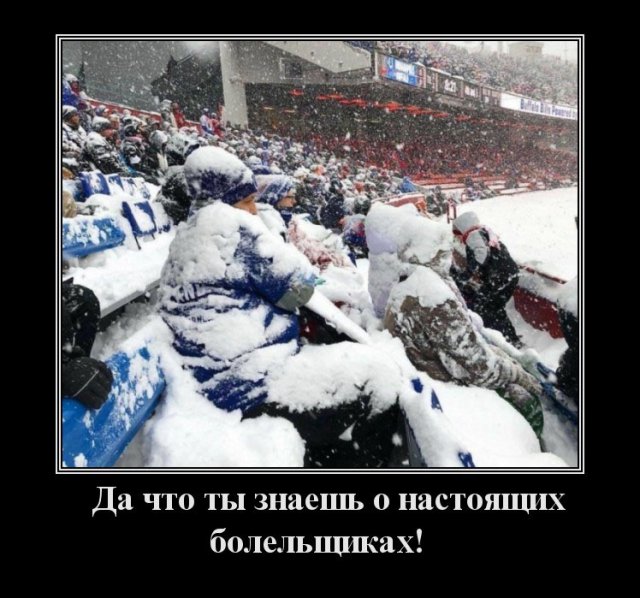 Циничный юмор в картинках