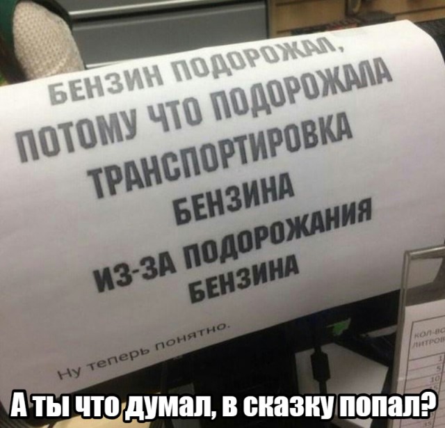 Дай дураку лобзик