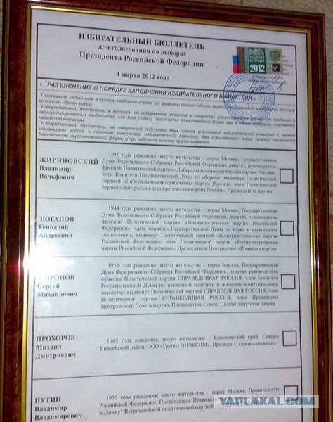 Питбуль спас хозяйку из-под поезда