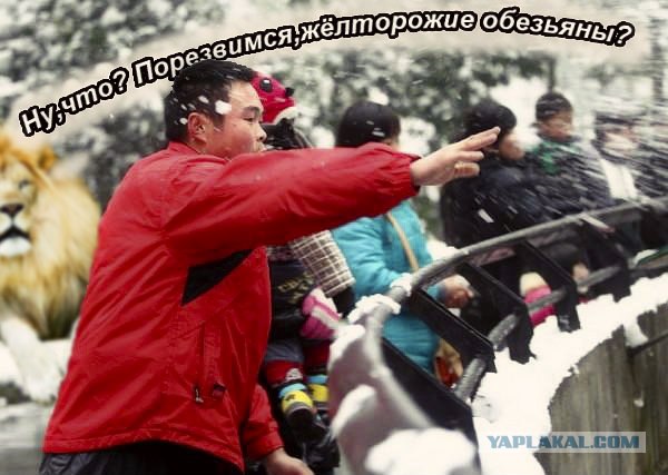 Обидеть Лёву может каждый