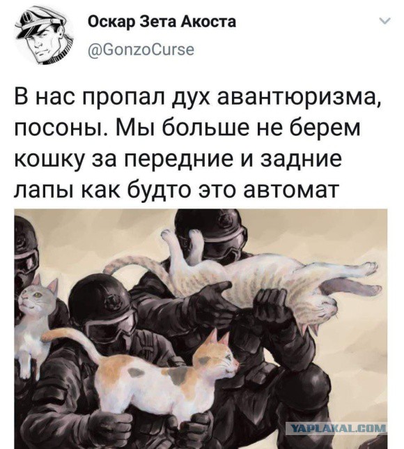 Анекдоты, соц-сети и картинки с надписями